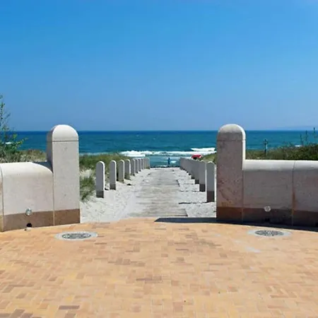 Sea Cucumber Comfortable