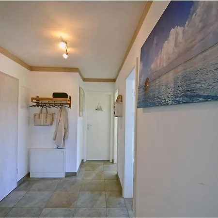 Sea Cucumber Comfortable